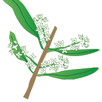 crop step 2