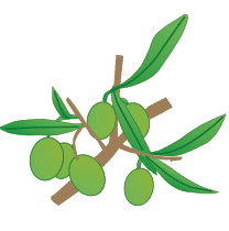 crop step 4