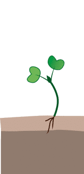 crop step 0