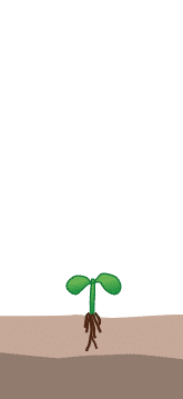 crop step 0