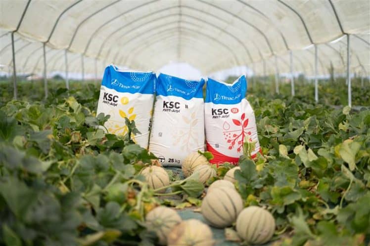 ksc three bags greenhouse june2024