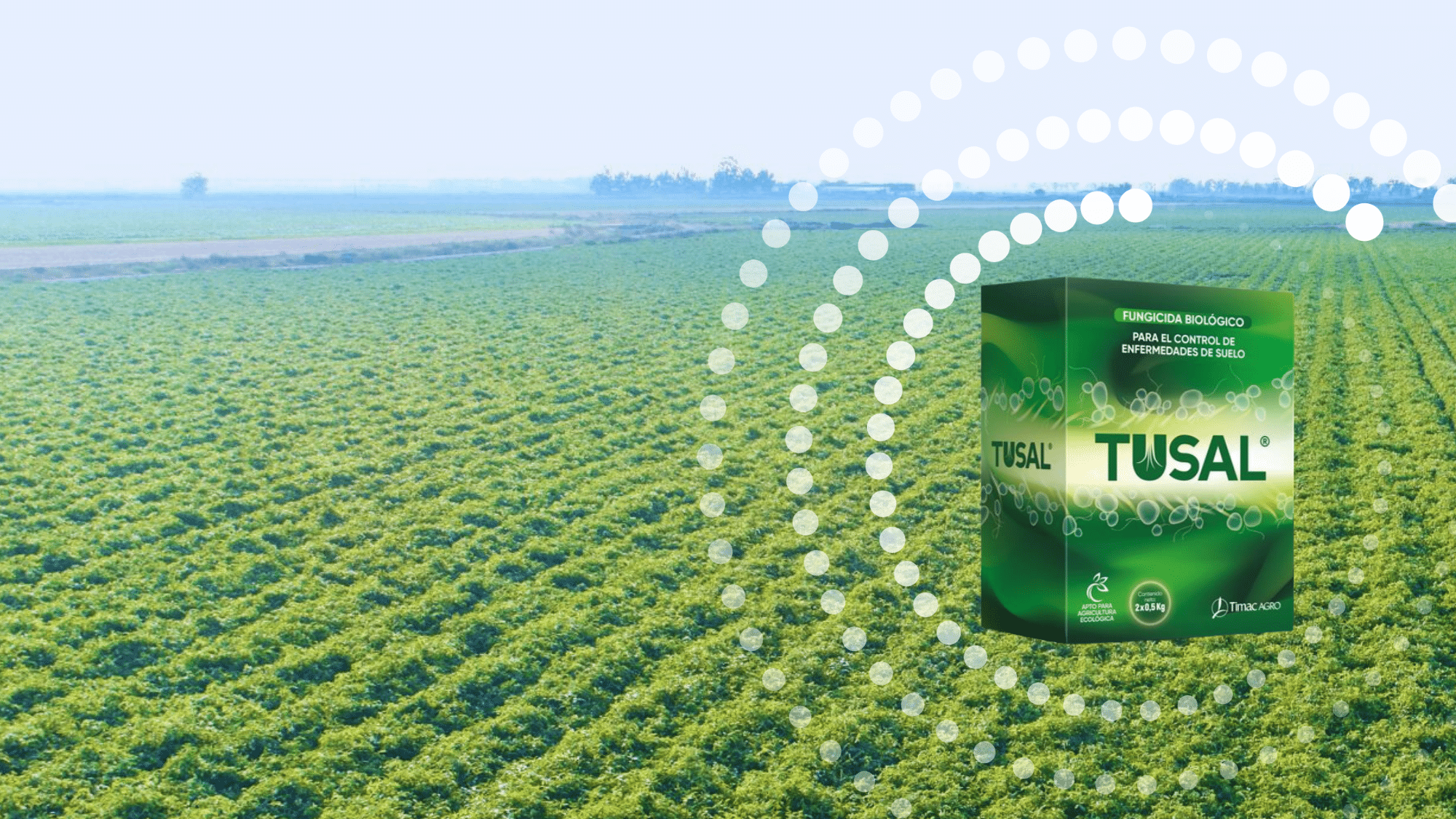 http://BIOLOGICAL%20FUNGICIDE%20WITH%20span%20class=highlighted-textTRICHODERMA/span