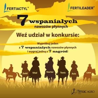 7wsp konkurs