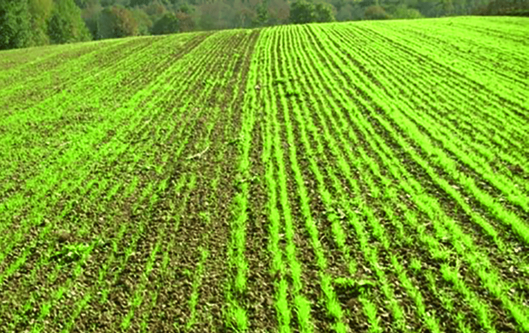physiostart prairie temoignage agriculteur