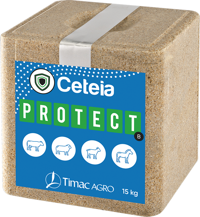 CETEIA PROTECT B
