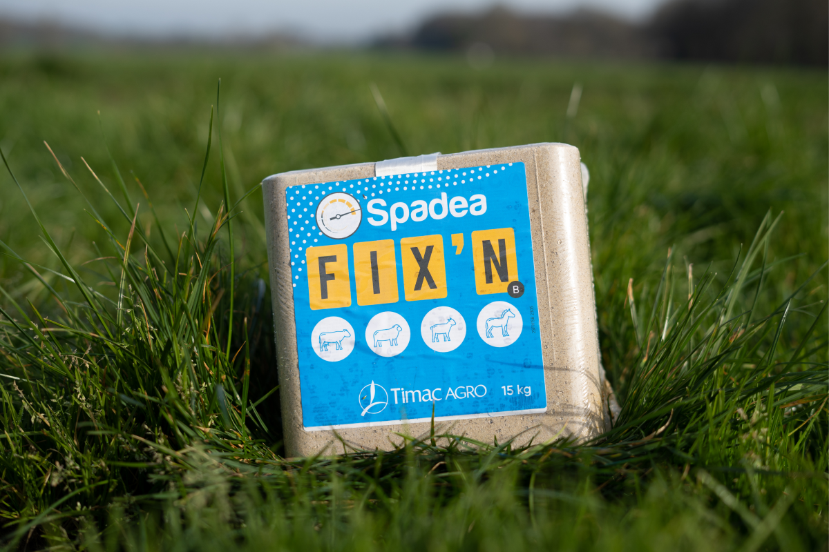 SPADEA FIX'N Balternate image 1