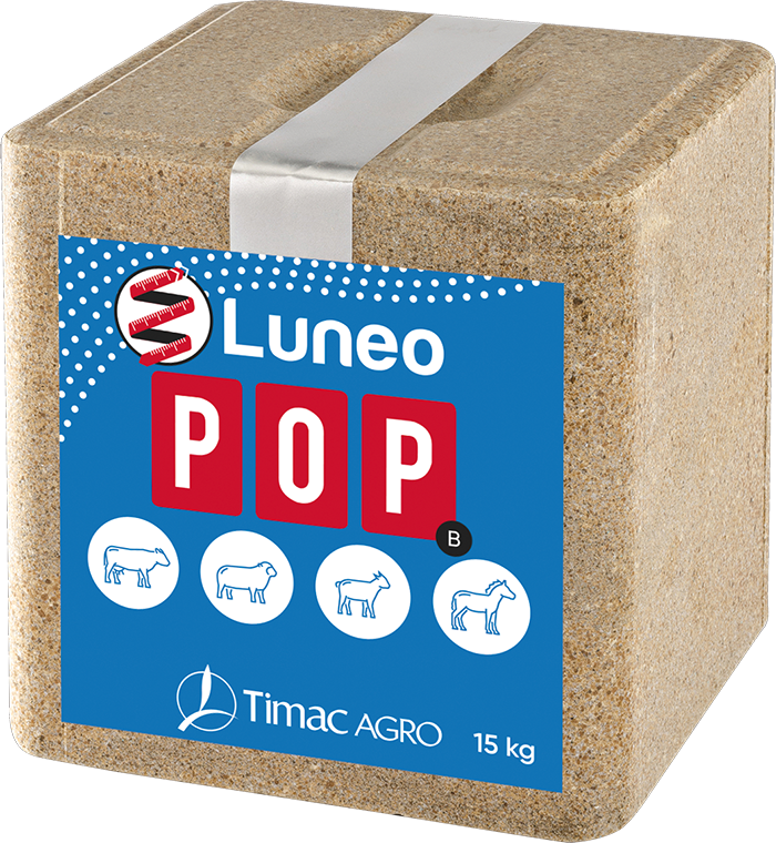 LUNEO POP B