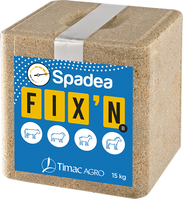 SPADEA FIX'N B