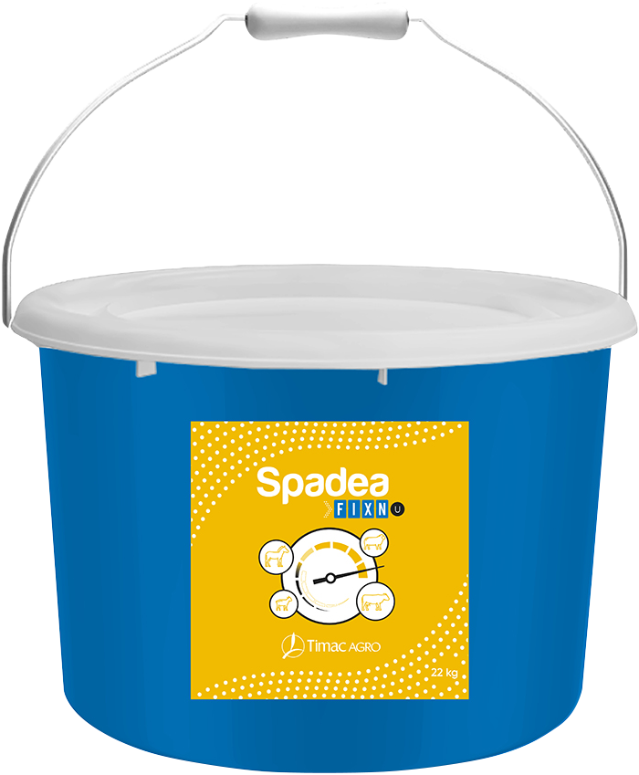 SPADEA FIX'N-U