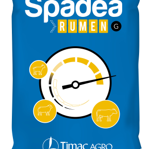 SPADEA RUMEN G