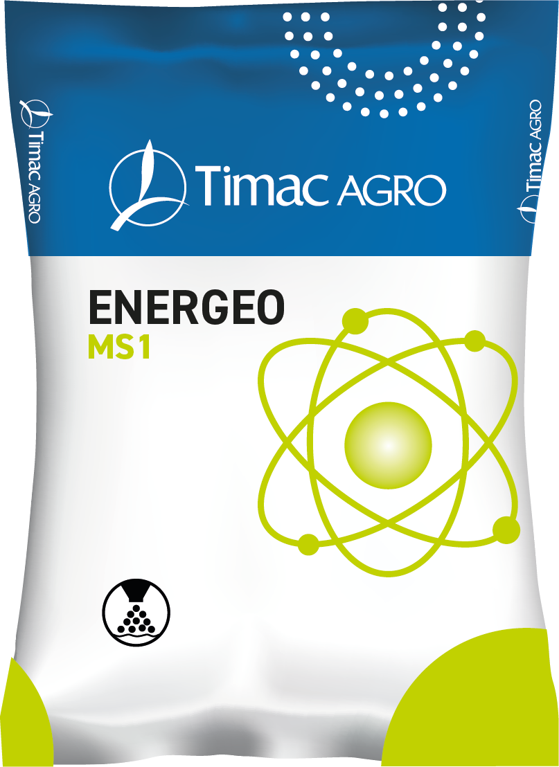 ENERGEO MS1