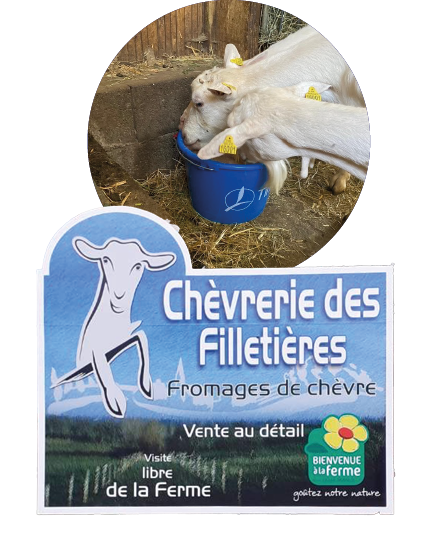 chèvre