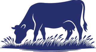 vache 1