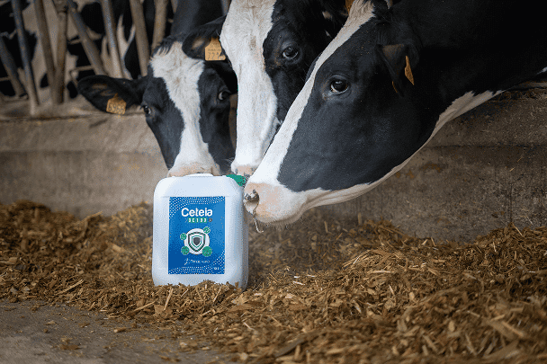 atelier liquide ceteia elevage vache