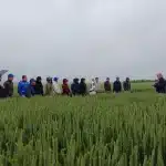 plateforme-demonstration-2024