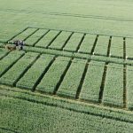 Plateforme d'essais 05.06.2025 (1)