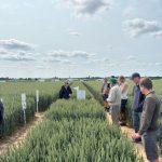 Plateforme d'essais 05.06.2025 (4)