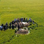 Plateforme d'essais 13.06.2025