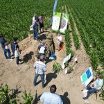 Plateforme d'essais 13.06.2025 (2)