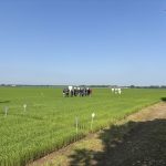 Plateforme d'essais 16.05.2025 (1)