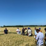 Plateforme d'essais 20.06.2025 (2)
