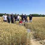 Plateforme d'essais 20.06.2025 (5)
