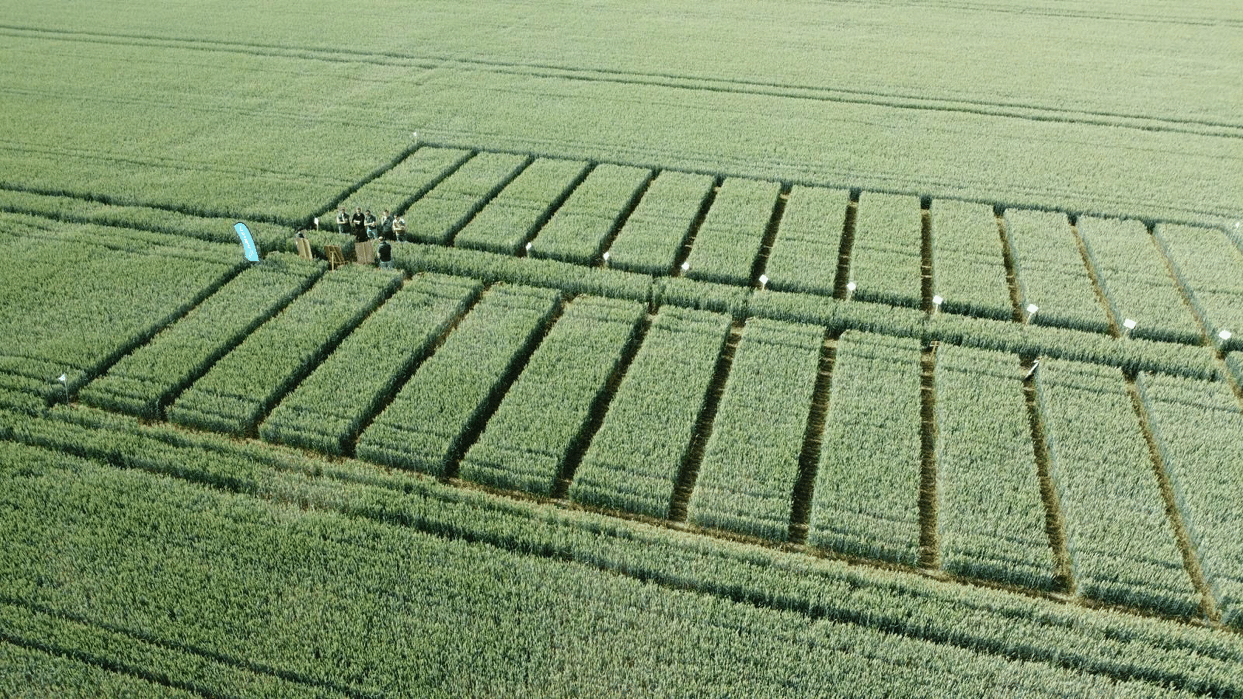 plateformes essais ble (1)