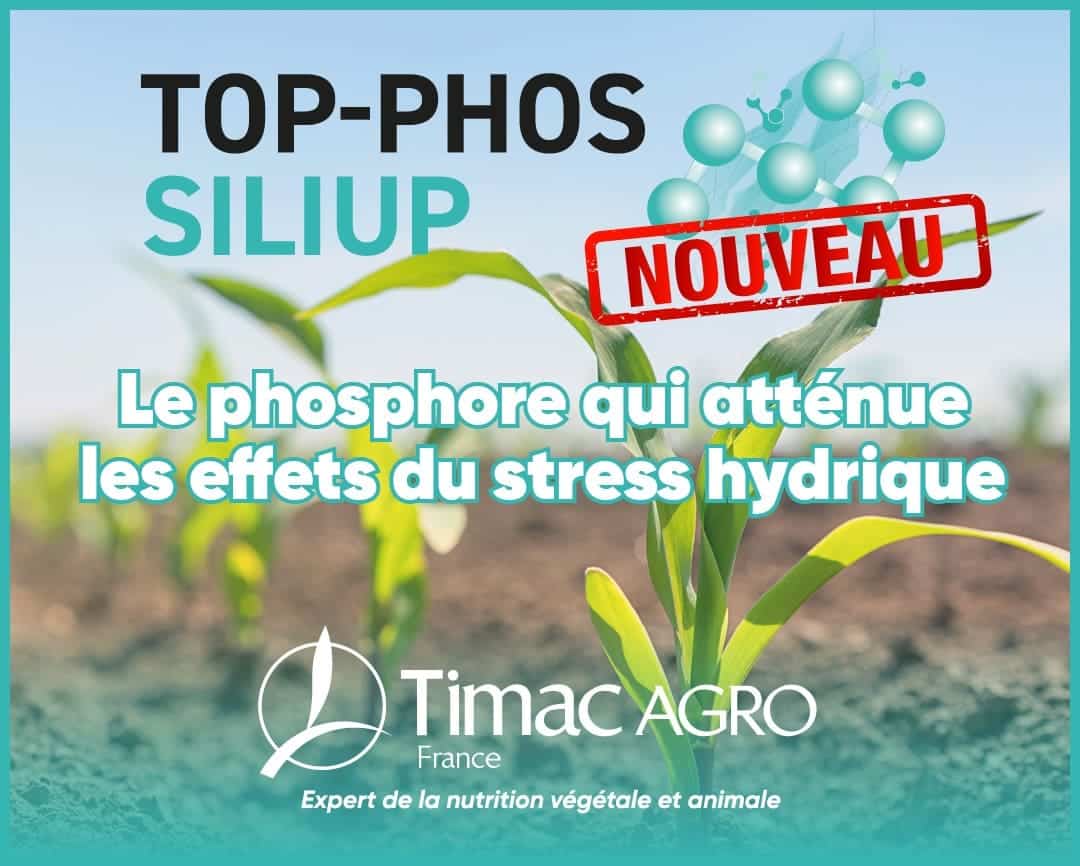 top phos siliup phosphore silice