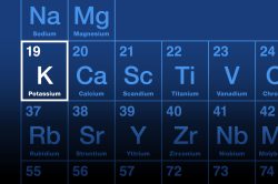 potassium k timac agro france