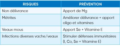 tarissement production animale